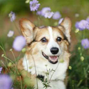 couplepagr-blog avatar