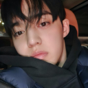 coupsiewonwoo avatar