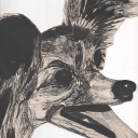 courbesbleues avatar