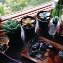 courtneybearrr3 avatar