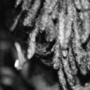 courtneycoprich-blog avatar