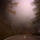 courtneygaider avatar