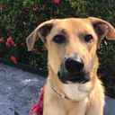 courtneykitten avatar