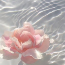 courtneymirai avatar