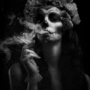 courtofcatastrophe avatar