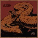 cousinrattlesnake avatar