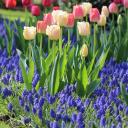 coveted-aegis8775 avatar