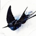 coveyin12miscellanousposts avatar