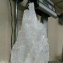 covid-created-chaos avatar