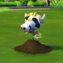 cow-plant-ccfinds avatar