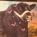 cow-with-a-fur-coat avatar