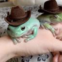 cowboy-times-in-outer-space avatar