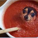 cowboyfuckwad avatar