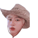 cowboyseokjin avatar