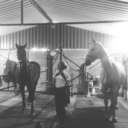 cowgirls-in-english-saddles avatar