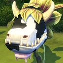 cowplantberries avatar