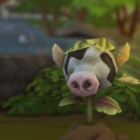 cowplantzzz avatar