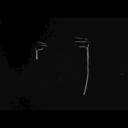 cows-and-bees avatar