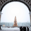 cowsandwitchcraft avatar