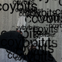 coybits avatar