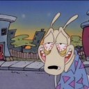 coyote-bong-water avatar