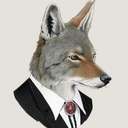 coyote-english avatar