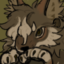 coyote-official avatar