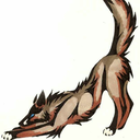 coyotealtar avatar