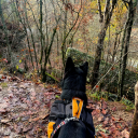 coyoteman1142 avatar