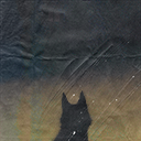 coyotevalleyrp avatar