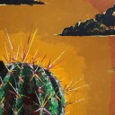 coyotewhoures avatar