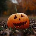 cozy-autumn-blessings avatar