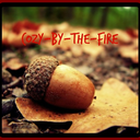 cozy-by-the-fire avatar