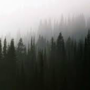 cozyforcomfort avatar