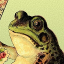 cozyfrogs avatar