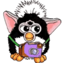 cozyfurb avatar