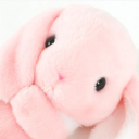 cozypinkbunny avatar