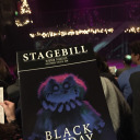 cozysleepyraccoon avatar