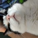 cptnbubblesthings avatar