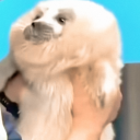 cptnsaltwater avatar