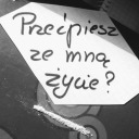 cpunskie-rejony avatar