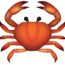 crab-anon avatar