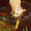 crab-boy-blues avatar