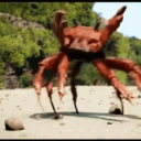 crab-day-counter avatar
