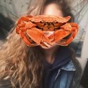 crab-gang-leader avatar