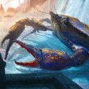 crab-princess avatar