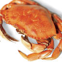 crab78 avatar