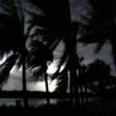 crabbycrest-blog avatar