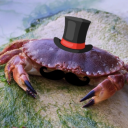 crabmanmanda avatar