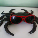 crabwithglasses avatar